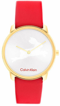Часы Calvin Klein 25200219